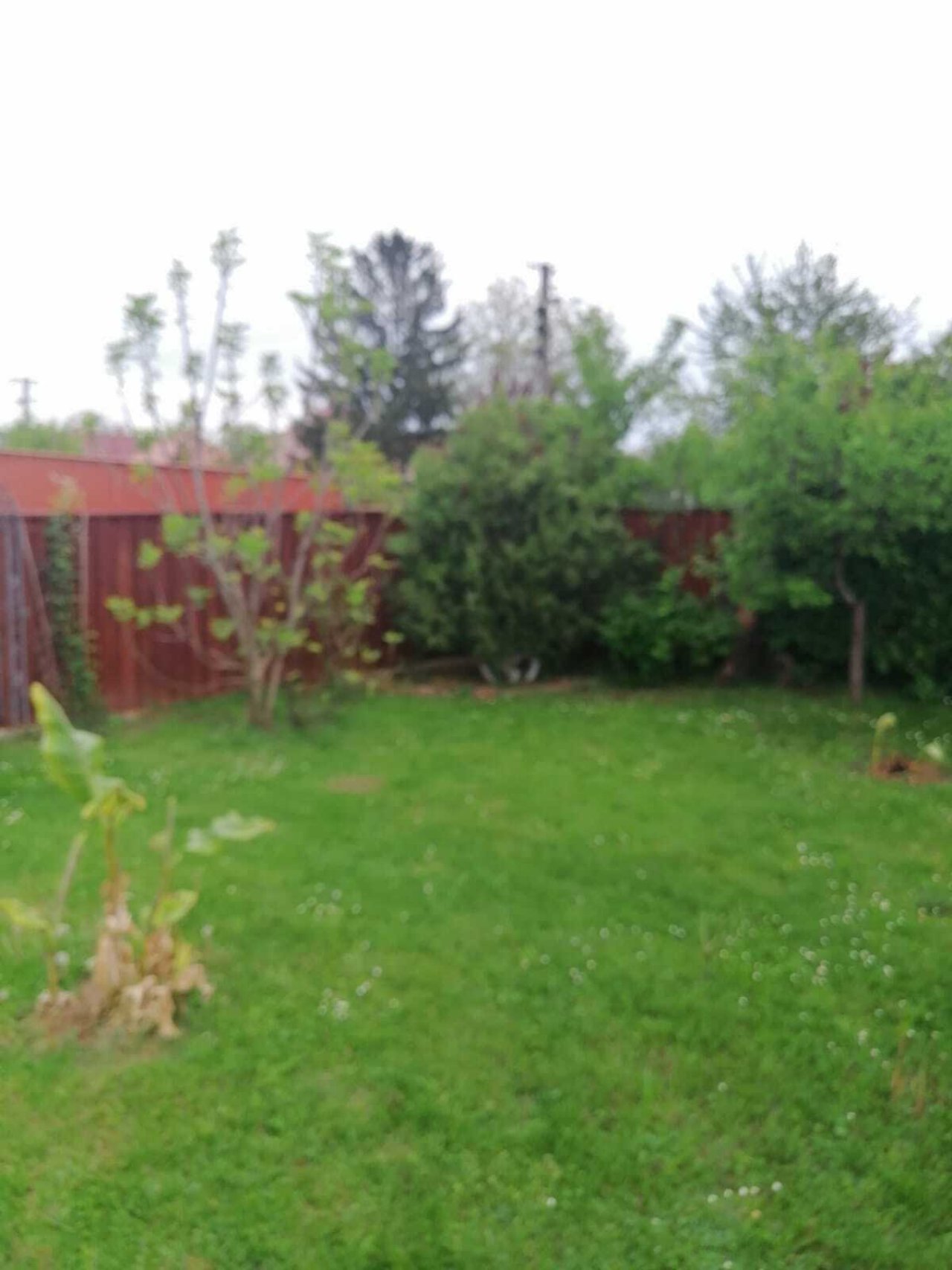(A-B) Interessantes Baugrundstück in Seenähe &amp; bereits mit Pool, schön eingewachsen (FAR2124)