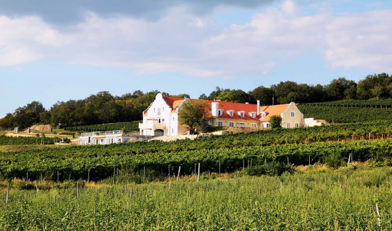 (AA) Außergewöhnlich: Exclusives Weingut &amp; First-Class Hotel oberhalb des Plattensees (4035)