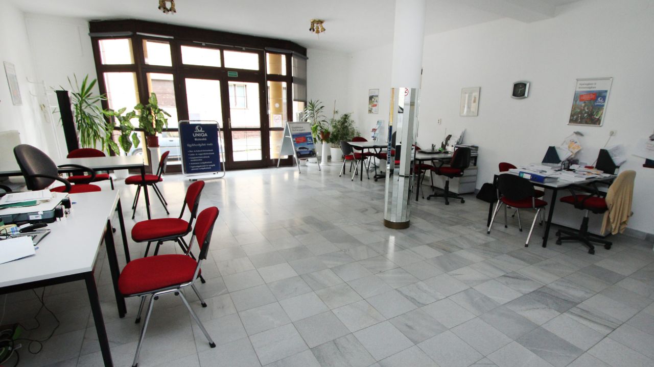 (ABA) Einfamilienhaus mit separaten Geschäftsräumen im Zentrum