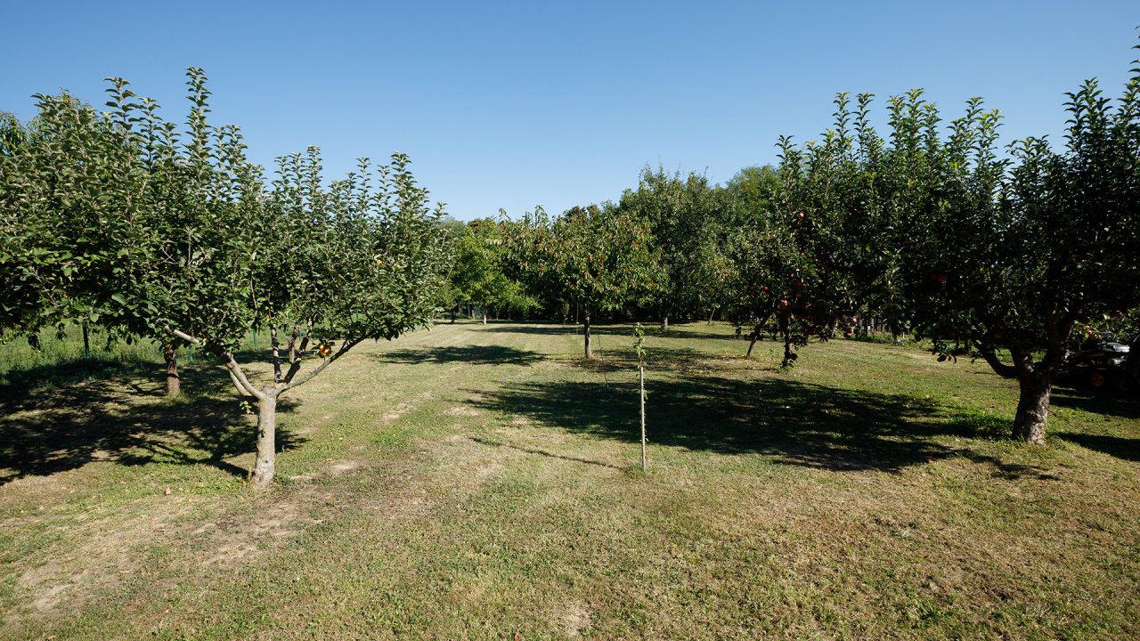 (BAA) Großes Einfamilienhaus mit großem Grundstück und toller Aussicht (33372)