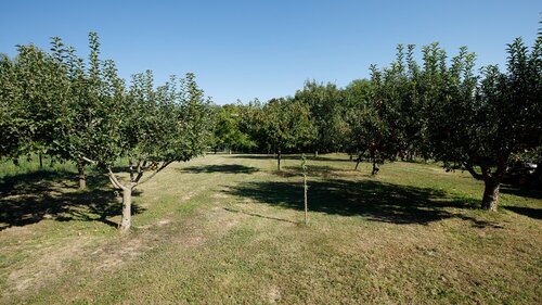(BAA) Großes Einfamilienhaus mit großem Grundstück und toller Aussicht (33372)