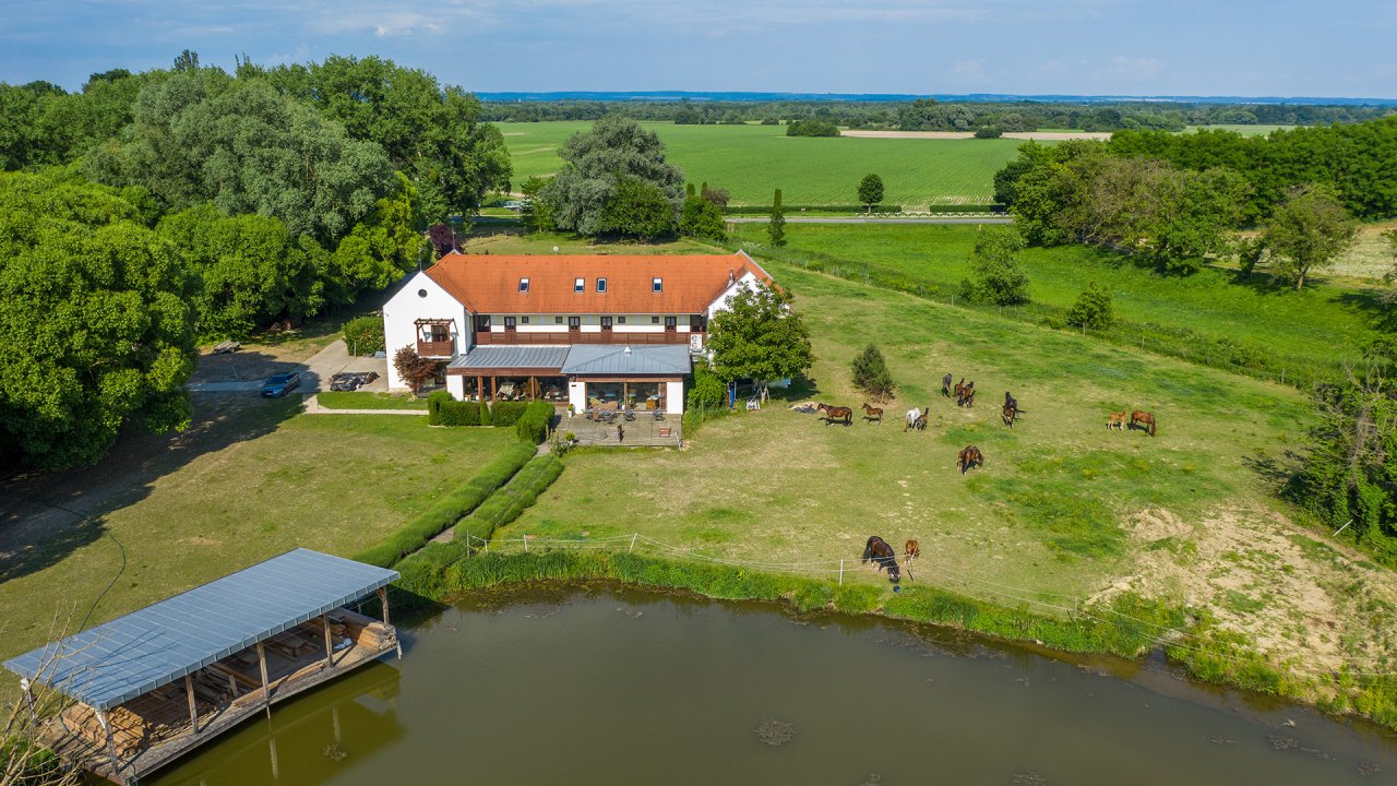 Seminarhotel mit eigenem See in Ungarn (ABA) (4017/3)