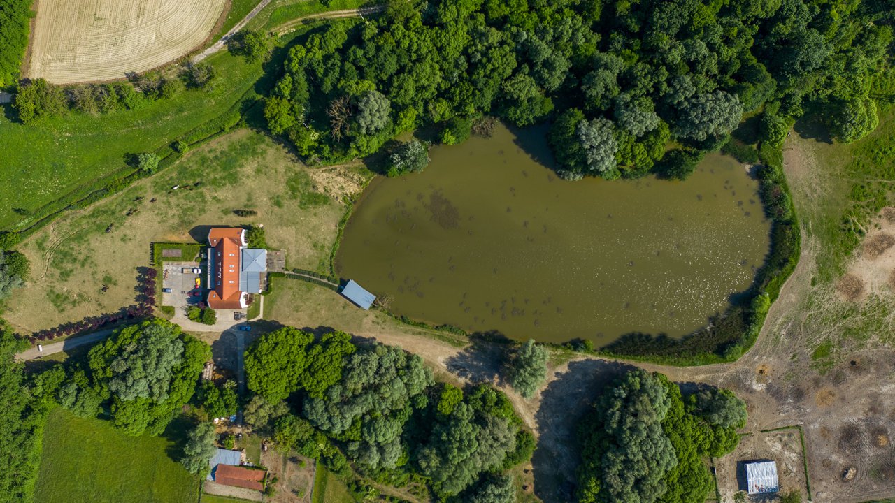 Seminarhotel mit eigenem See in Ungarn (ABA) (4017/3)