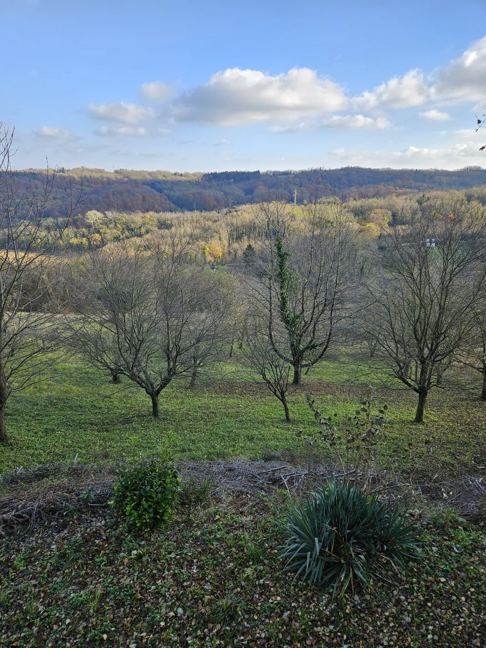 (ABAB) Enormes Entfaltungspotential mit Panoramablick über Zalaegerszeg (CM053)