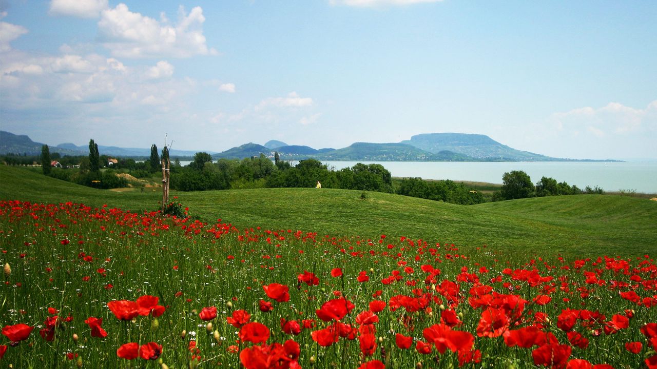 Einzigartige Investitionsmöglichkeit am Balaton: Golfplatz & Segelhafen (44024)
