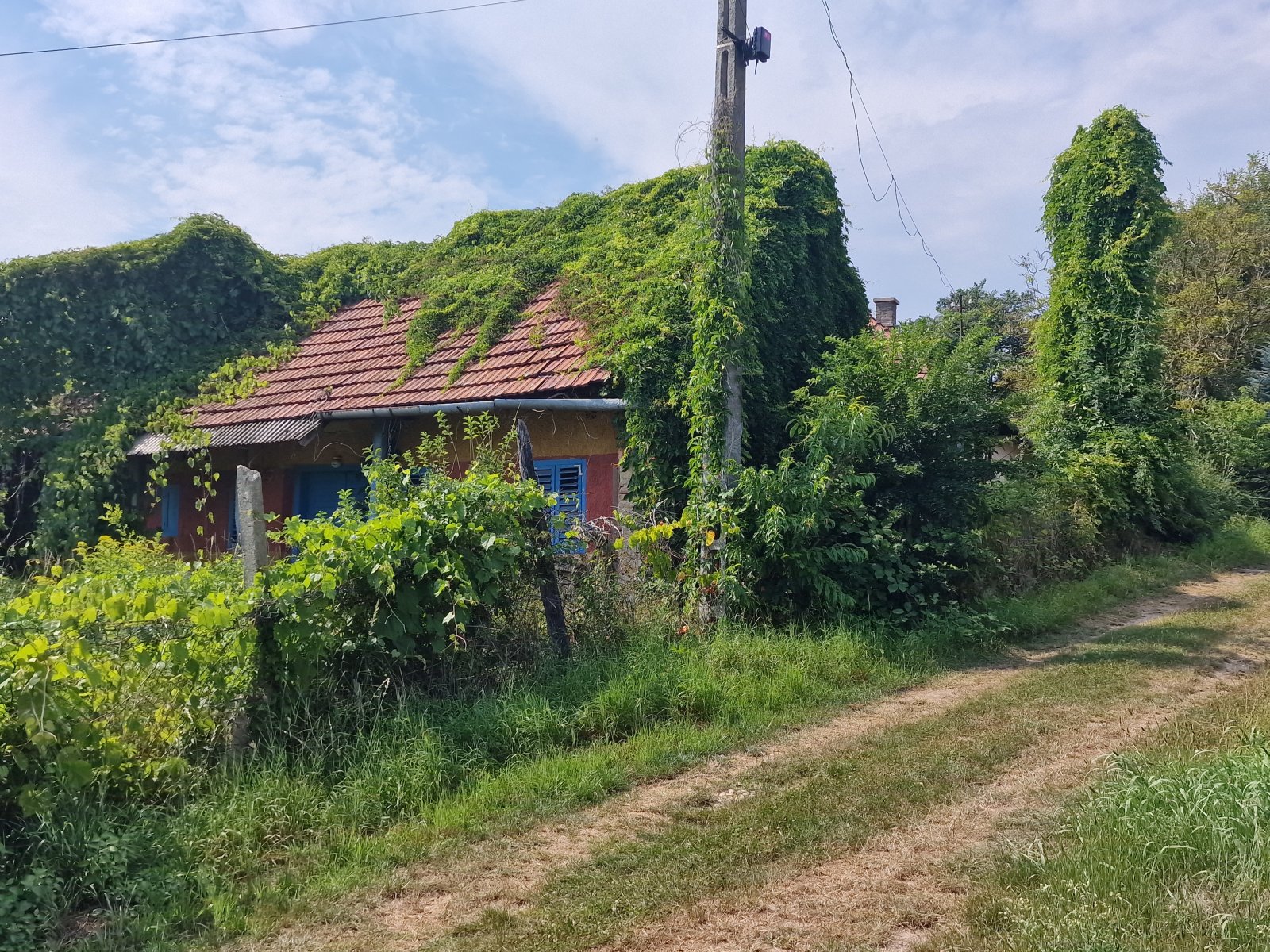 (BBA) Bauernhaus in ruhiger Lage (CM126)