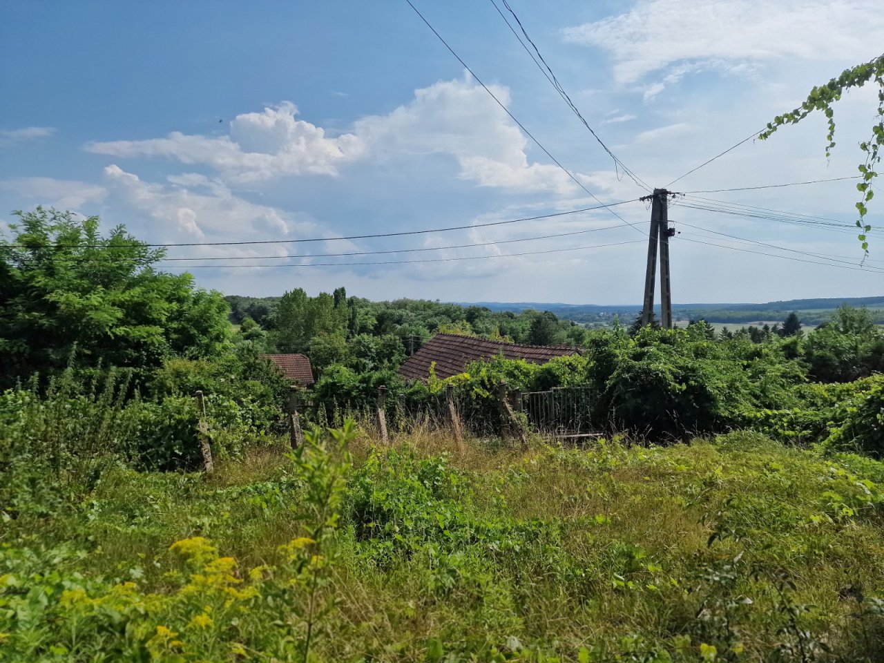 (BBA) Bauernhaus in ruhiger Lage (CM126)