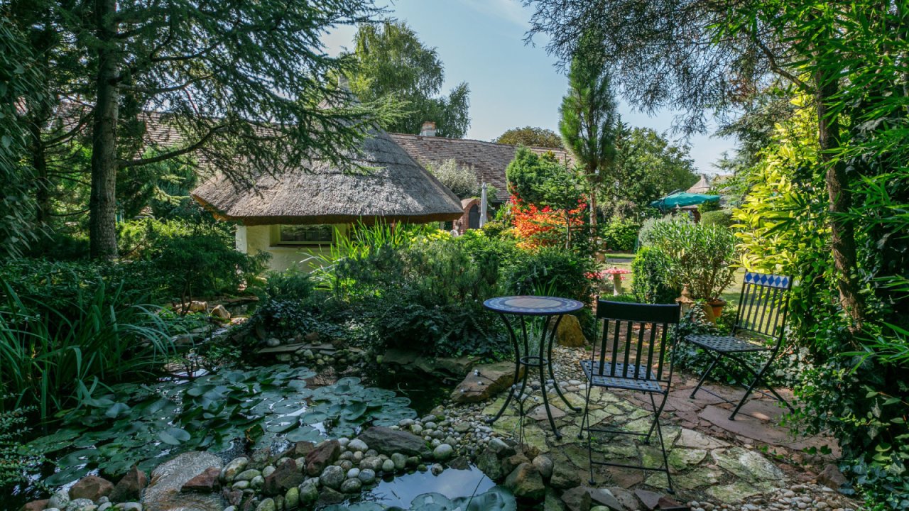 Rarität im Balaton-Hochland: Luxuriöses Bauernhaus, liebevoll renoviert (11485)
