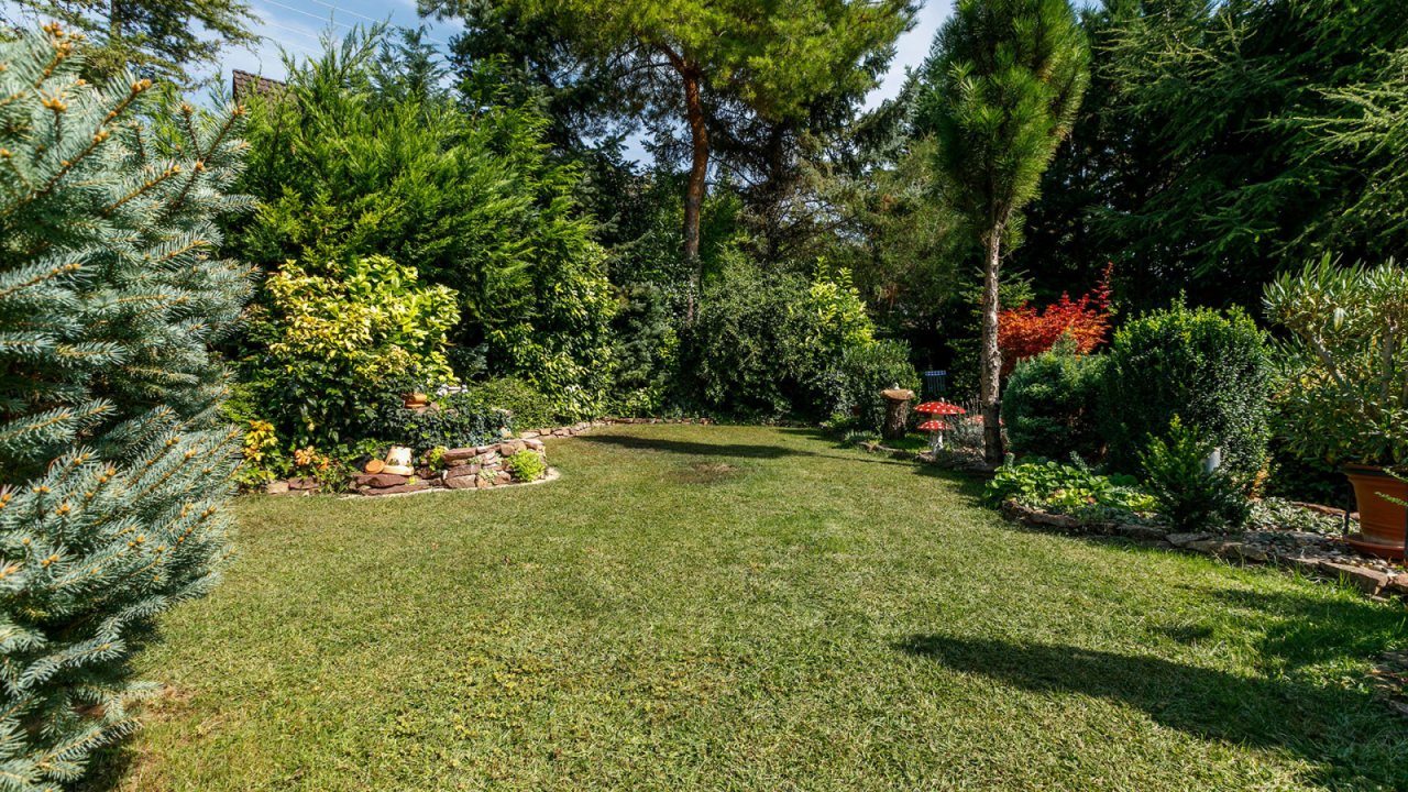 Rarität im Balaton-Hochland: Luxuriöses Bauernhaus, liebevoll renoviert (11485)