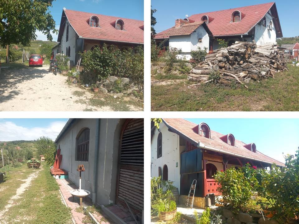 Berühmtes Winzerhaus als Gasthof oder privates Landhaus (ABA-FB2873)