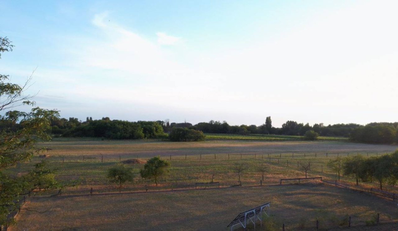 Hof mit 3 Wohnhäusern und Nebengebäuden sowie 8,3 ha Land (ANZ414) — photo -- --