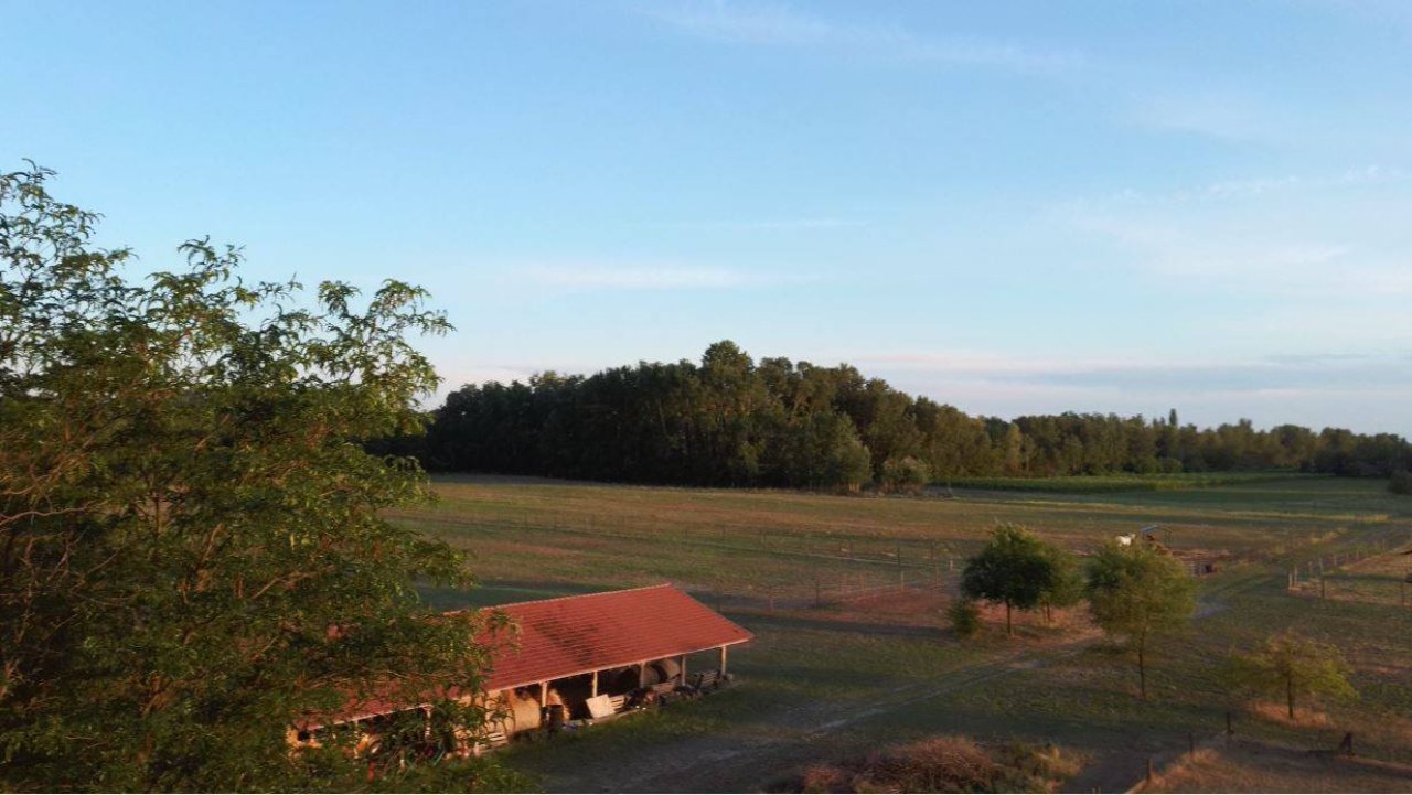 Hof mit 3 Wohnhäusern und Nebengebäuden sowie 8,3 ha Land (ANZ414) — photo -- -- ()