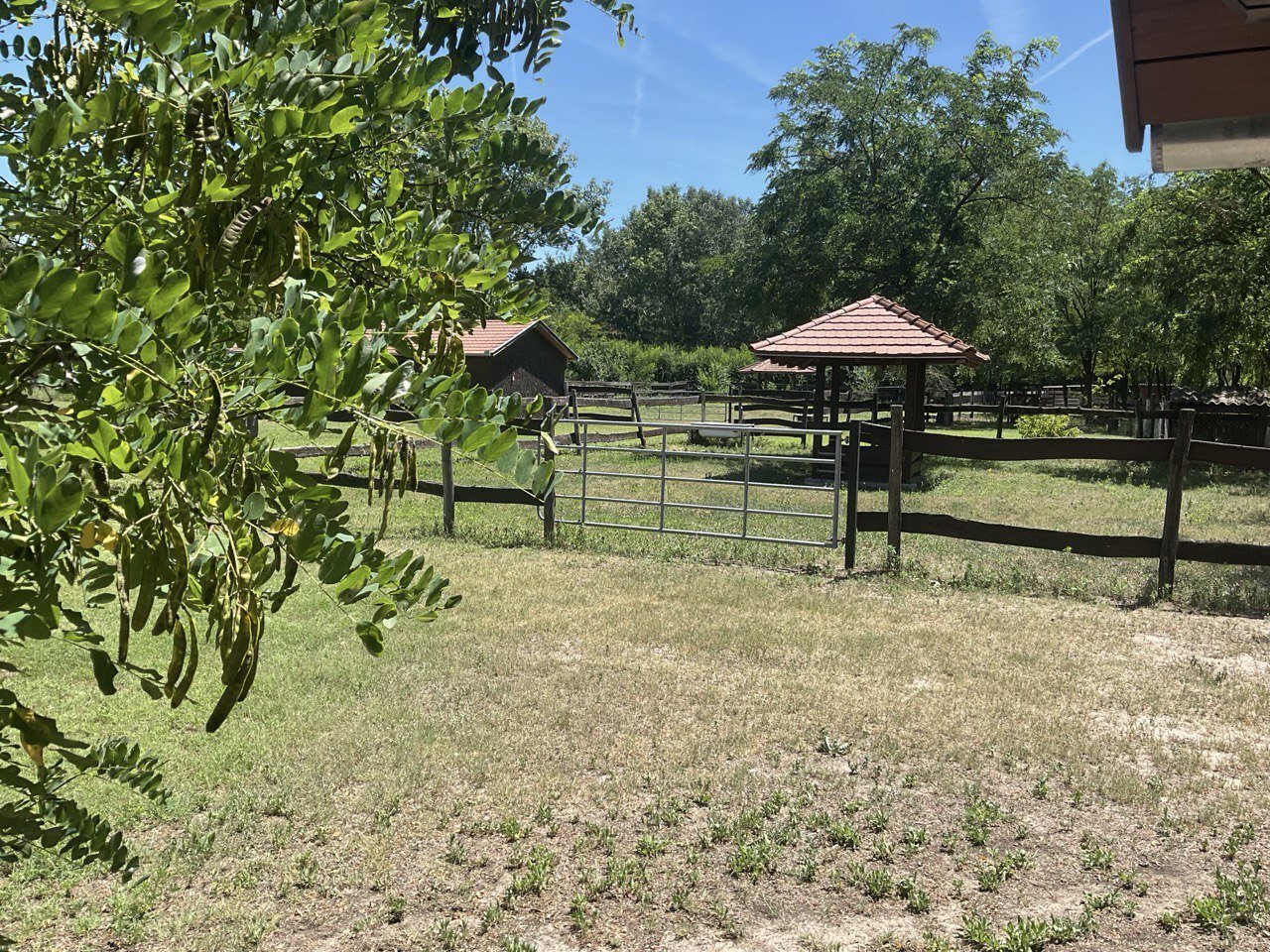Hof mit 3 Wohnhäusern und Nebengebäuden sowie 8,3 ha Land (ANZ414) — Small farm paddock