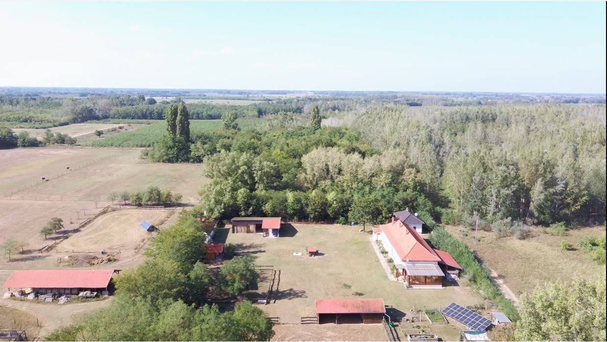 Hof mit 3 Wohnhäusern und Nebengebäuden sowie 8,3 ha Land
