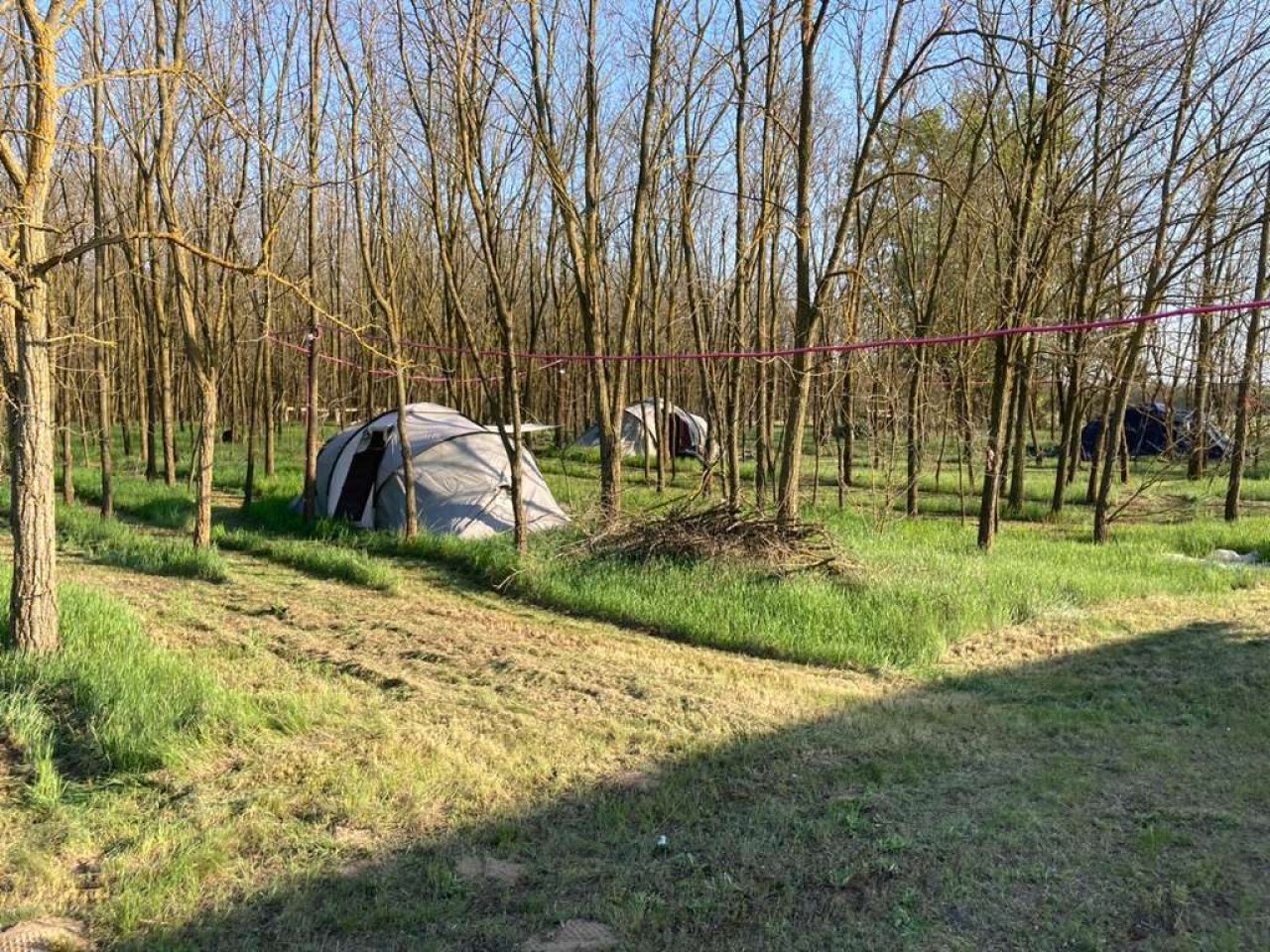 (BBA) 5 Pinzen / Häuser auf großem Grundstück in Alleinlage (WH9642)