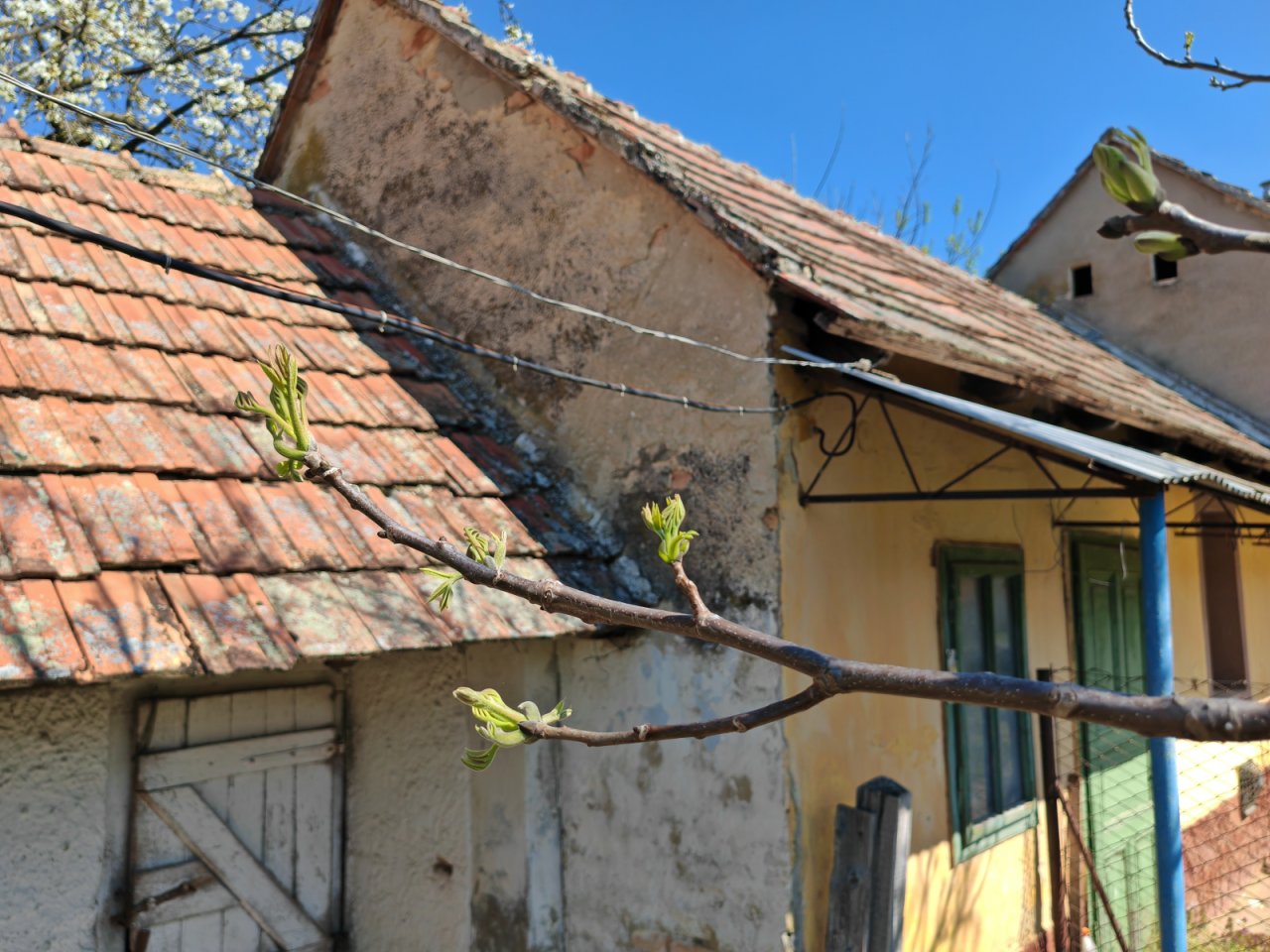 Großes Wohnhaus in netter Lage bietet ein enormes Potential (BCA) (CM197)