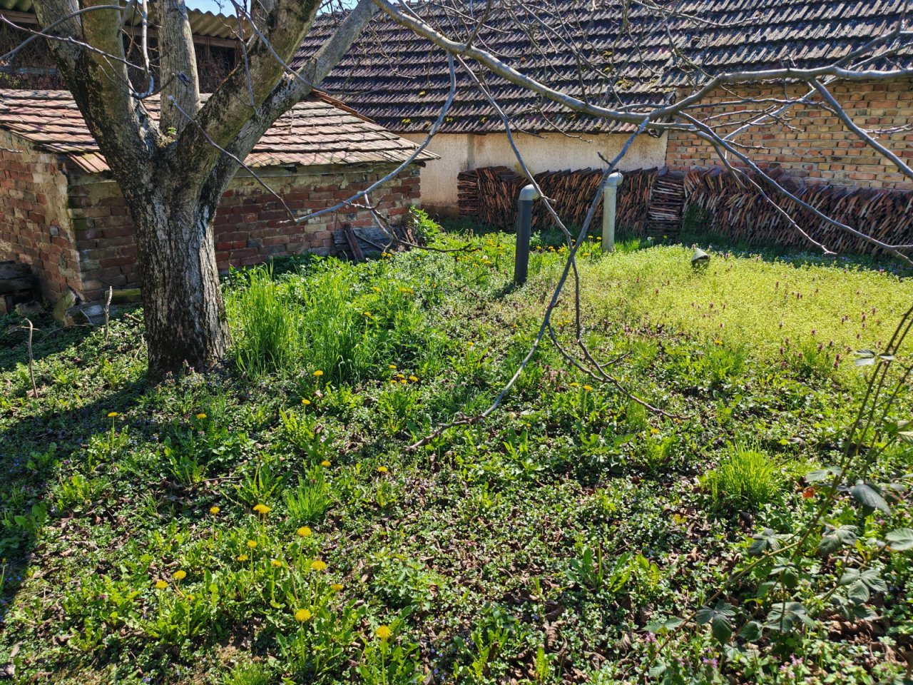 Großes Wohnhaus in netter Lage bietet ein enormes Potential (BCA) (CM197)