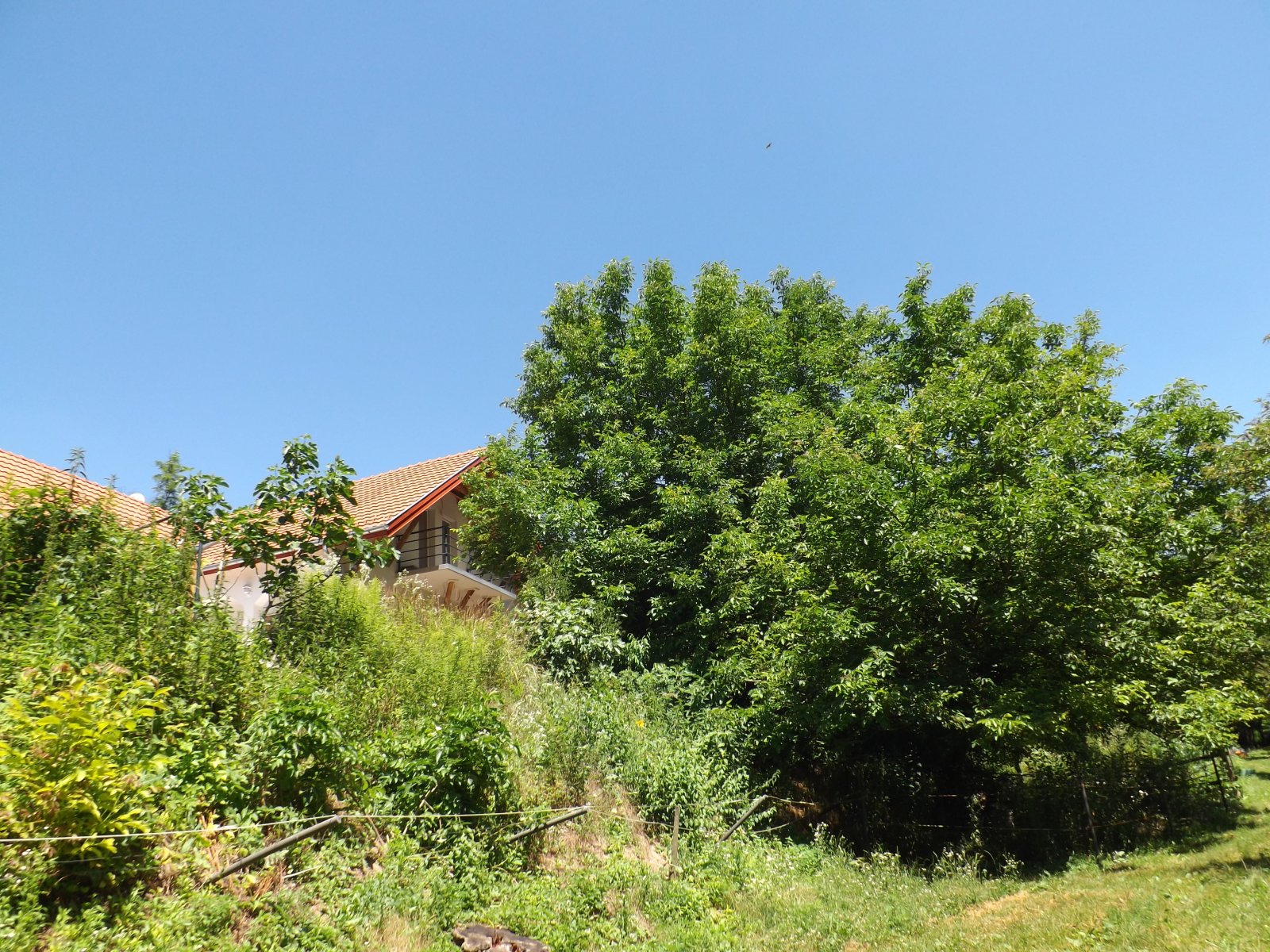 Völlig autark leben Nähe Balaton auf großem Grundstück (AAA-CM174) (CM174-2)
