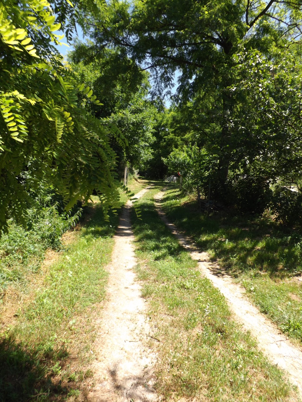 Völlig autark leben Nähe Balaton  auf großem Grundstück (AAA-CM174) (CM174-2)