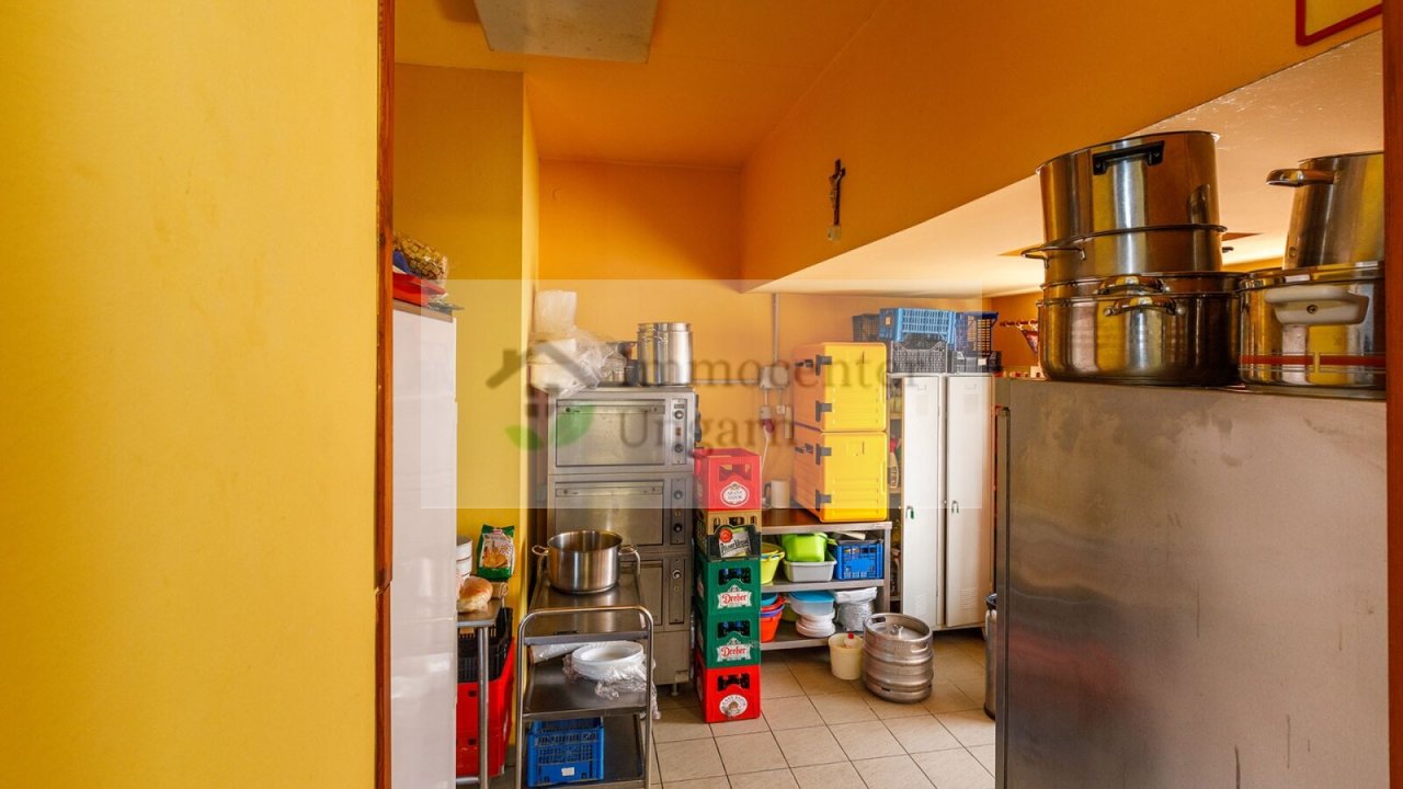 (BAA) Hervorragend eingeführtes Gasthaus mit 4 Fremdenzimmern im Zalatal (CM016-2) — exclusive-hd