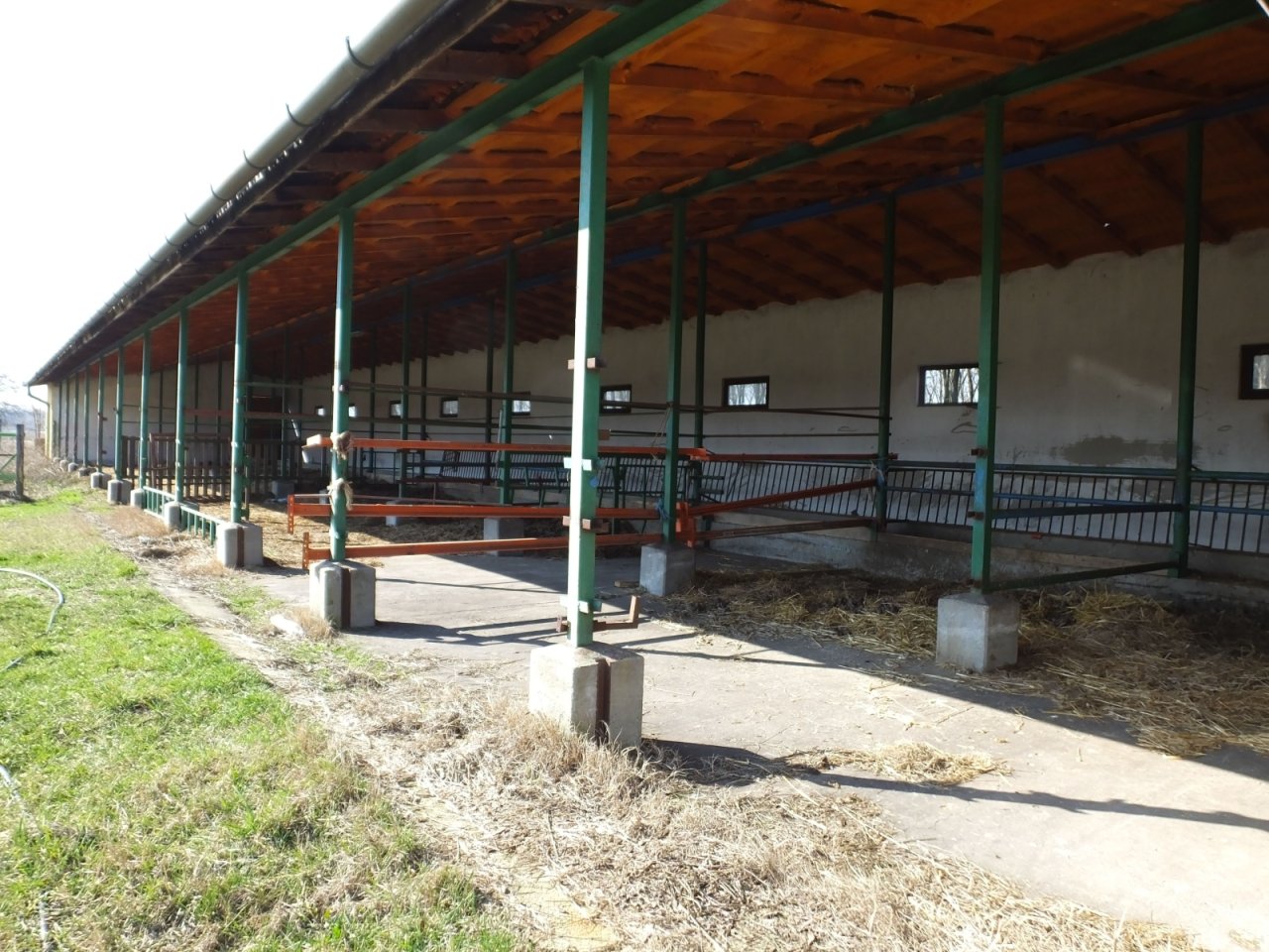 Landwirtschaftliches Anwesen für vielfältige Nutzung (CM118-2)