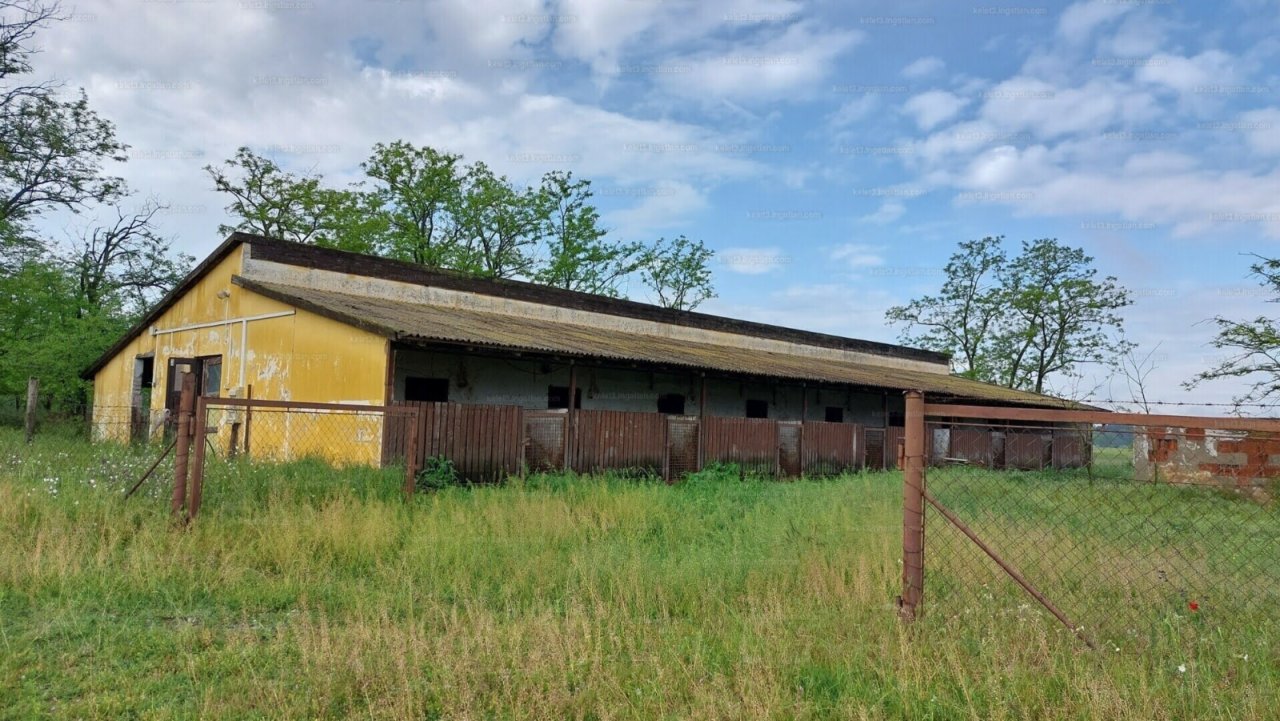 Landwirtschaftliches Anwesen für vielfältige Nutzung (CM118-2) — hd