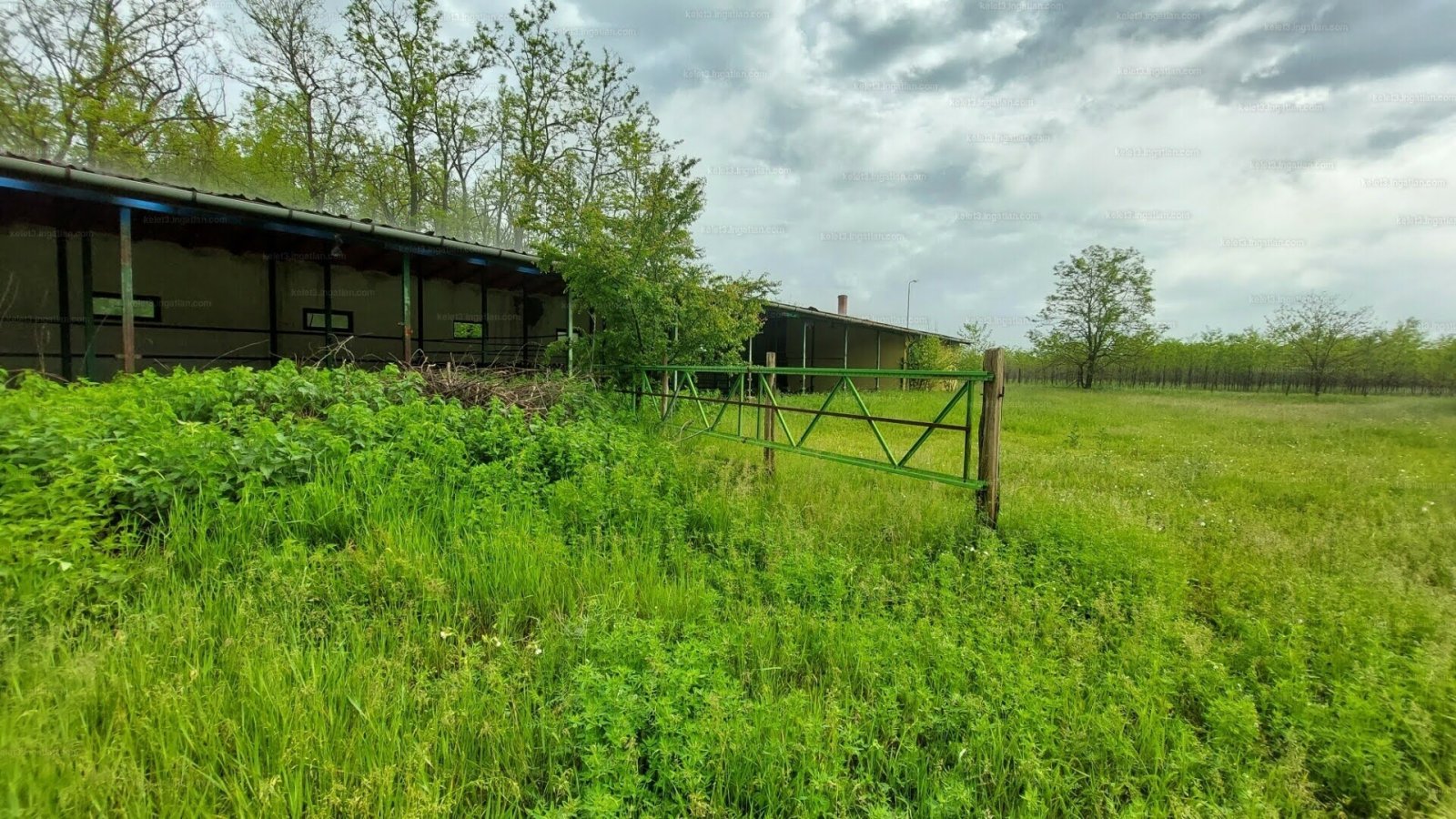 Landwirtschaftliches Anwesen für vielfältige Nutzung (CM118-2) — hd