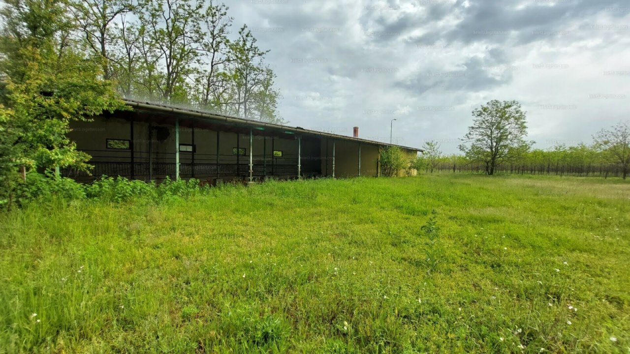 Landwirtschaftliches Anwesen für vielfältige Nutzung (CM118-2) — hd