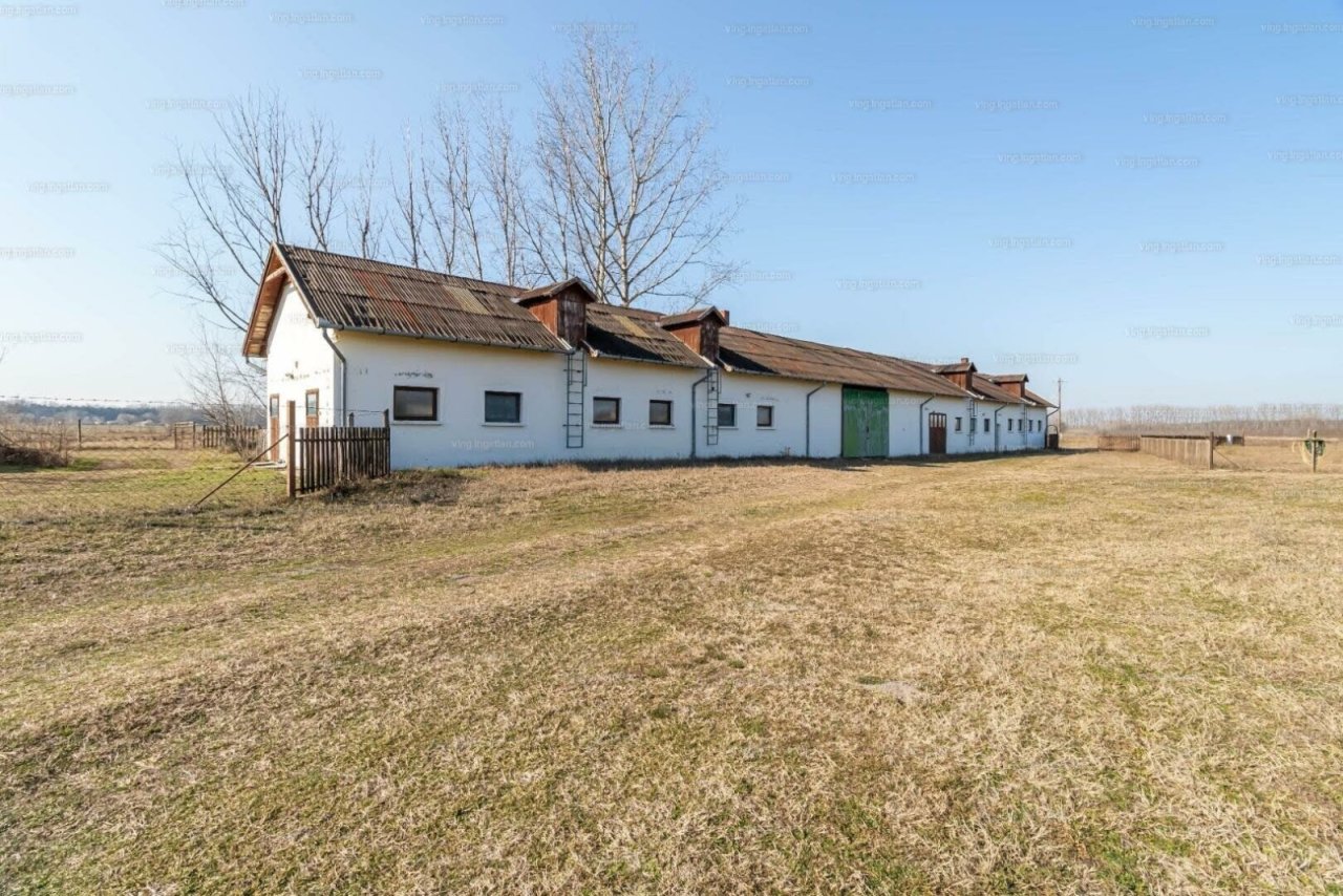 Landwirtschaftliches Anwesen für vielfältige Nutzung (CM118-2) — hd