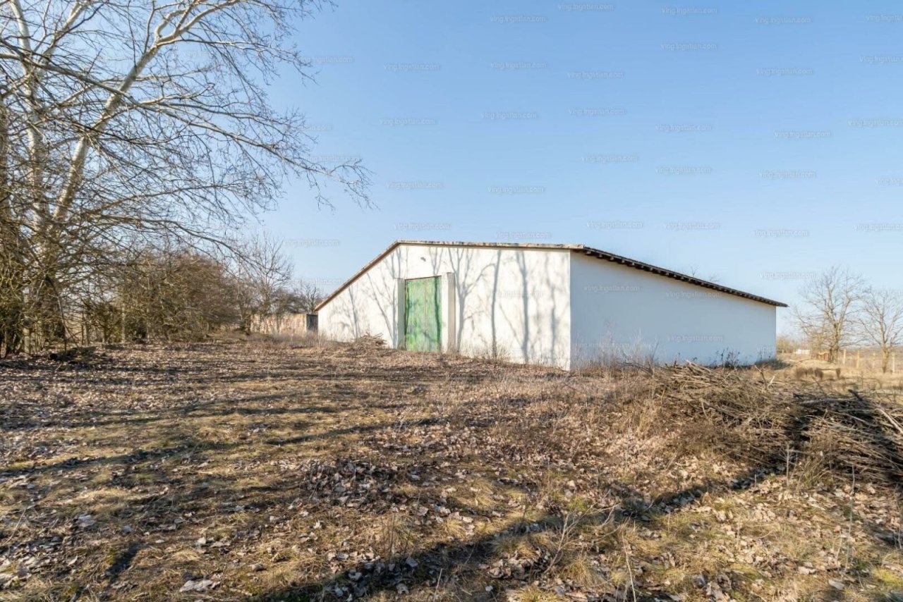 Landwirtschaftliches Anwesen für vielfältige Nutzung (CM118-2) — hd