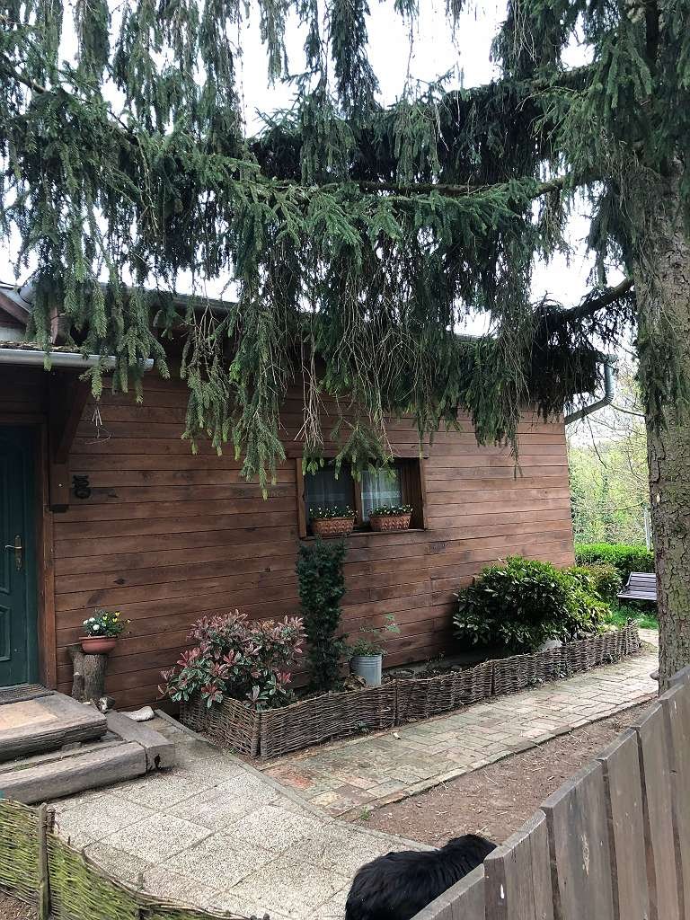 Verzaubertes Landhaus in Alleinlage Nähe Zalaegerszeg (AAA-33710) (33710-2)