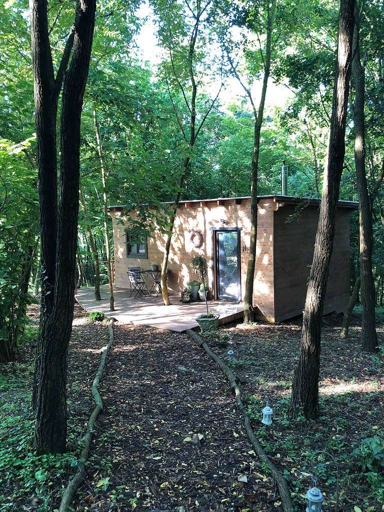Verzaubertes Landhaus in Alleinlage Nähe Zalaegerszeg (AAA-33710) (33710-2)