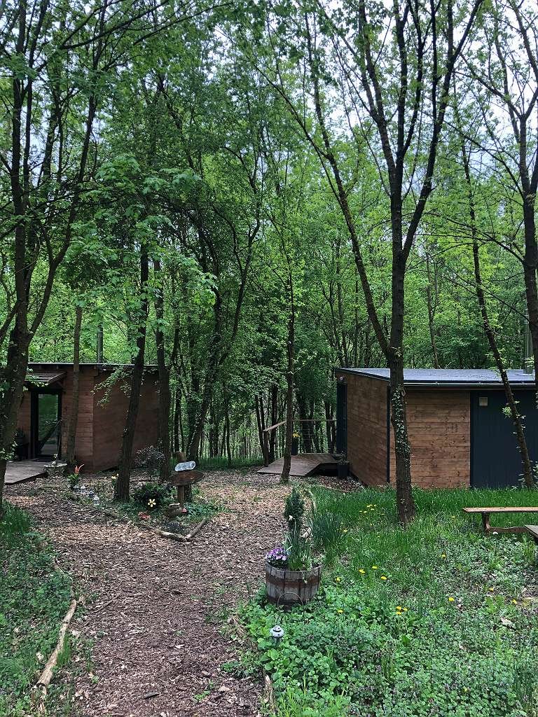Verzaubertes Landhaus in Alleinlage Nähe Zalaegerszeg (AAA-33710) (33710-2)