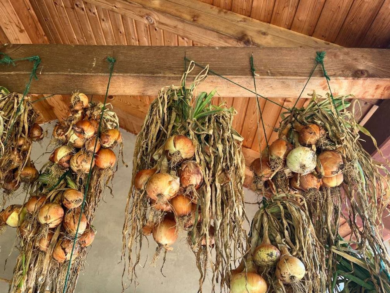 Naturdorf-Balaton: Verwirklichen Sie Ihren Traum vom autarken Leben als Selbstversorger (PAUL08)
