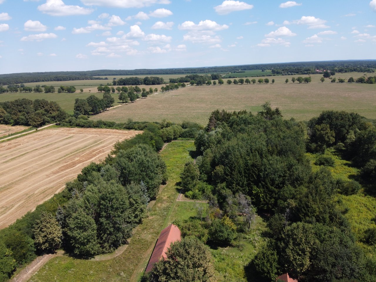 Renoviertes Herrenhaus mit großem Grundstück, ideal für Pferdebesitzer & Ruhesuchende