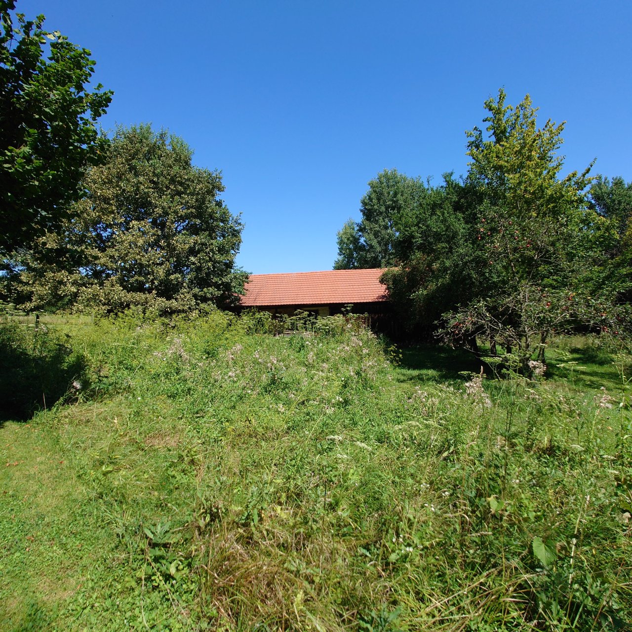 Renoviertes Herrenhaus mit großem Grundstück, ideal für Pferdebesitzer & Ruhesuchende (HCM112-3)