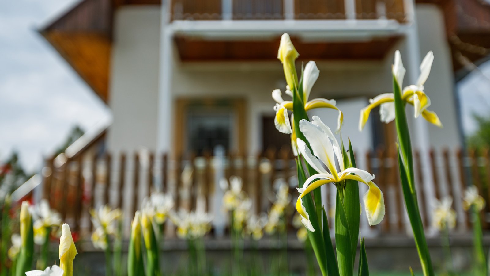 (AAA) Charmantes, erweiterungsfähiges Landhaus mit Weitblick – Ruhe & Natur pur! (CM300)