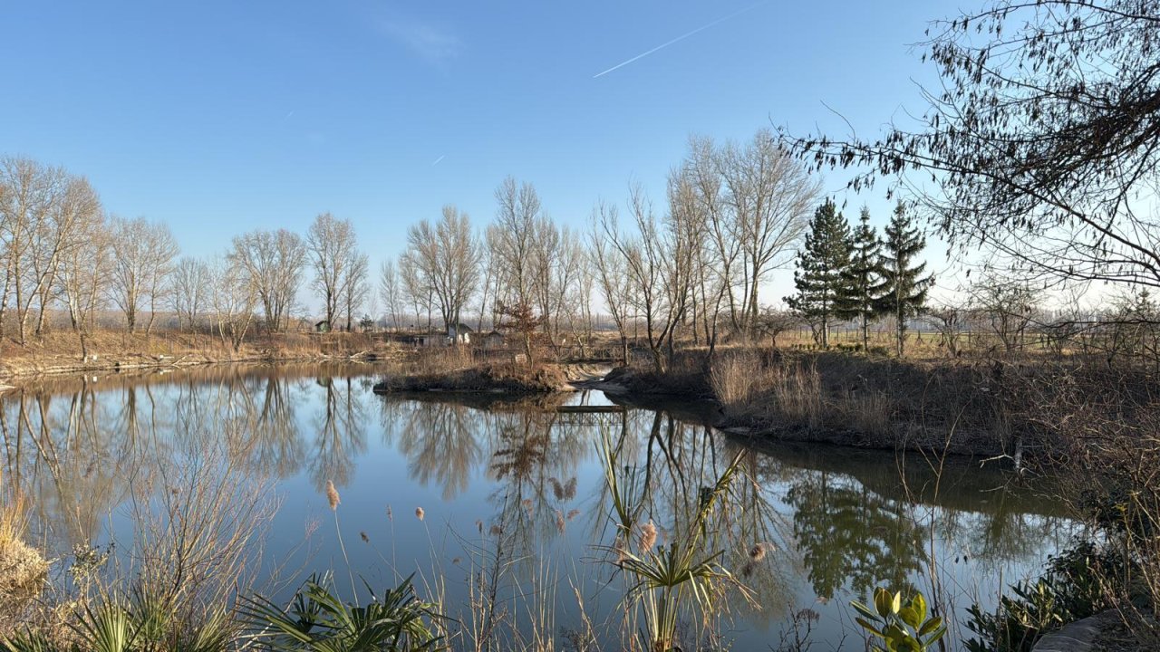 Exklusives Immobilienpaket mit Wohnhaus, Teich &amp; Naturparadies – 4 Ha Privatsphäre pur! (CM226)
