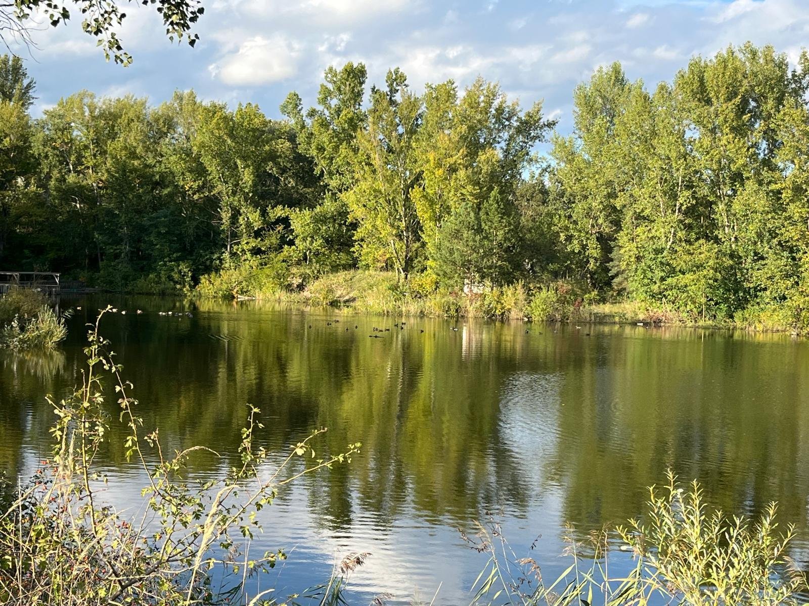 Exklusives Immobilienpaket mit Wohnhaus, Teich & Naturparadies – 4 Ha Privatsphäre pur!