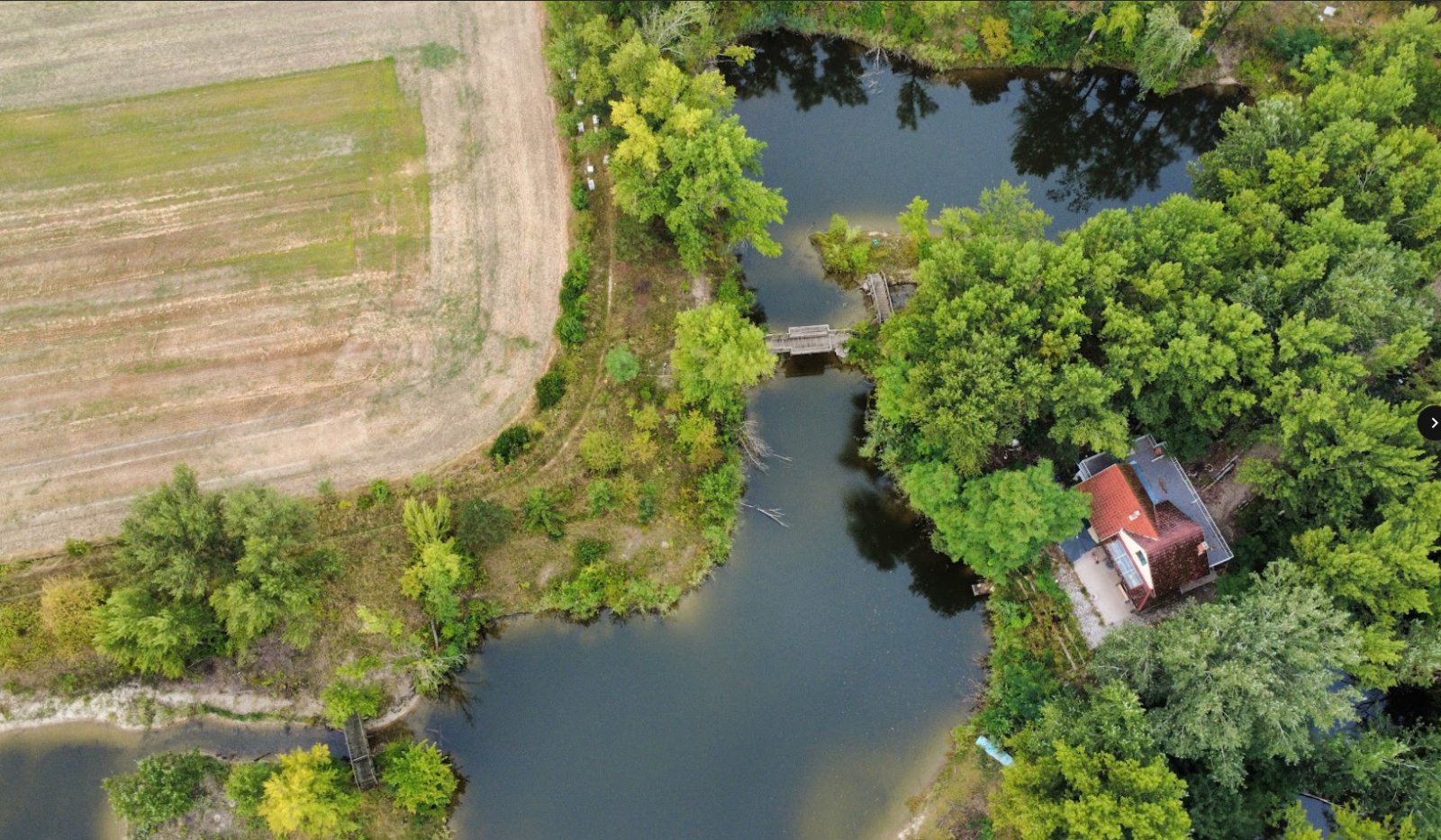 Exklusives Immobilienpaket mit Wohnhaus, Teich & Naturparadies – 4 Ha Privatsphäre pur! (CM226)