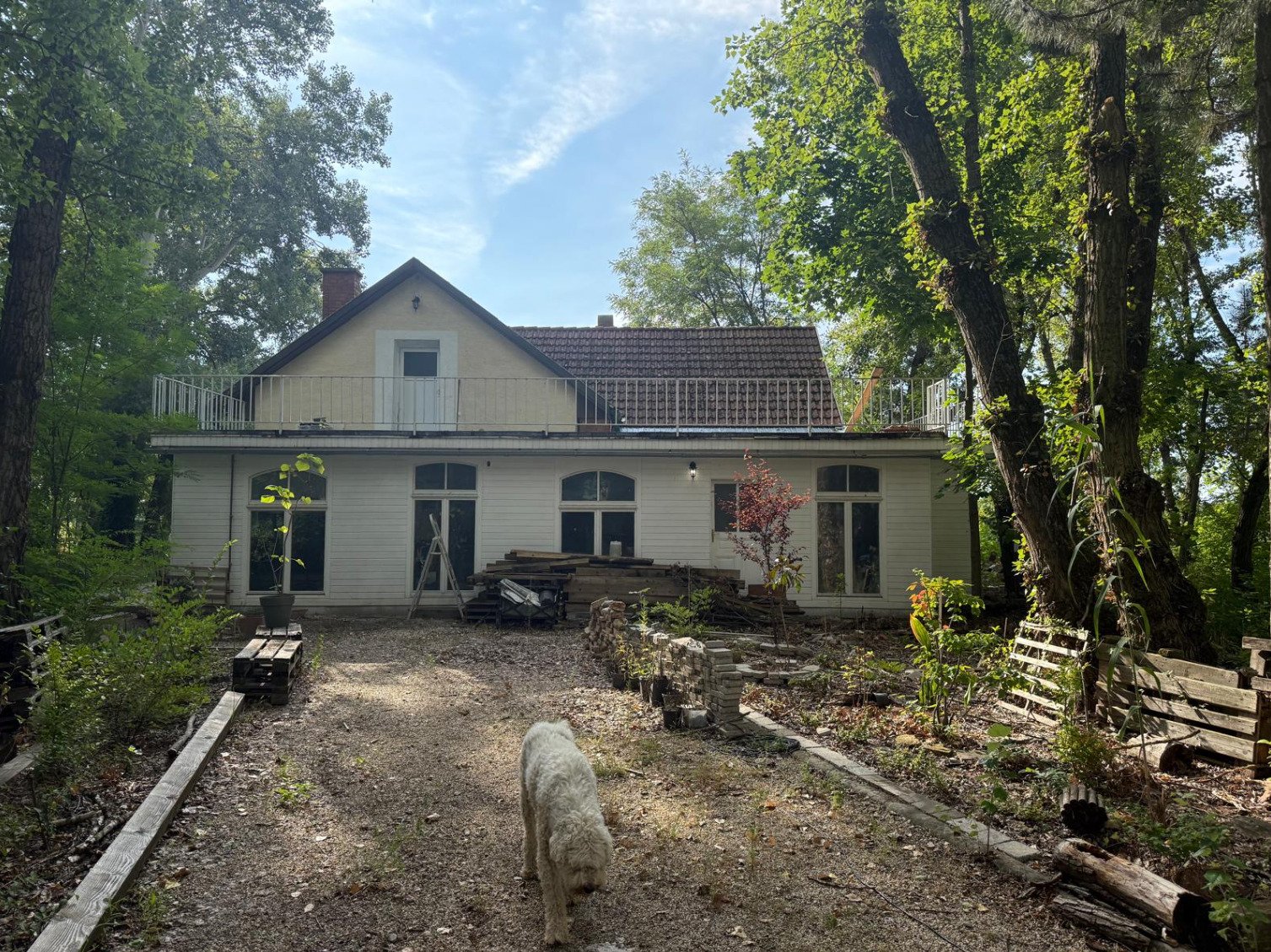 Exklusives Immobilienpaket mit Wohnhaus, Teich & Naturparadies – 4 Ha Privatsphäre pur! (CM226)