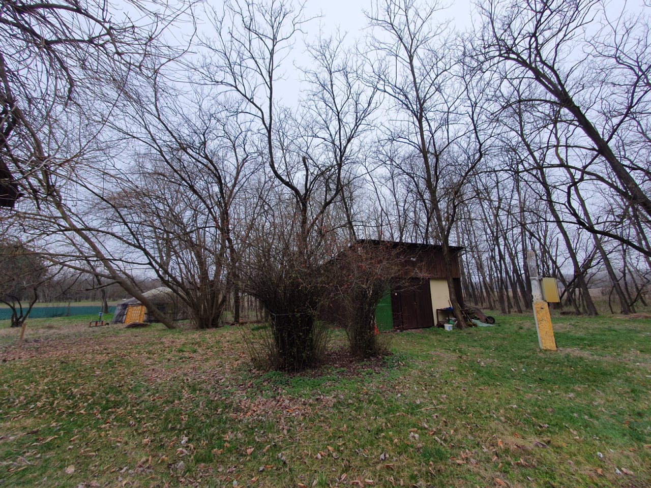 (BAA) Familienhaus mit Teich und großem Grundstück in Ruhelage (CM117-4)