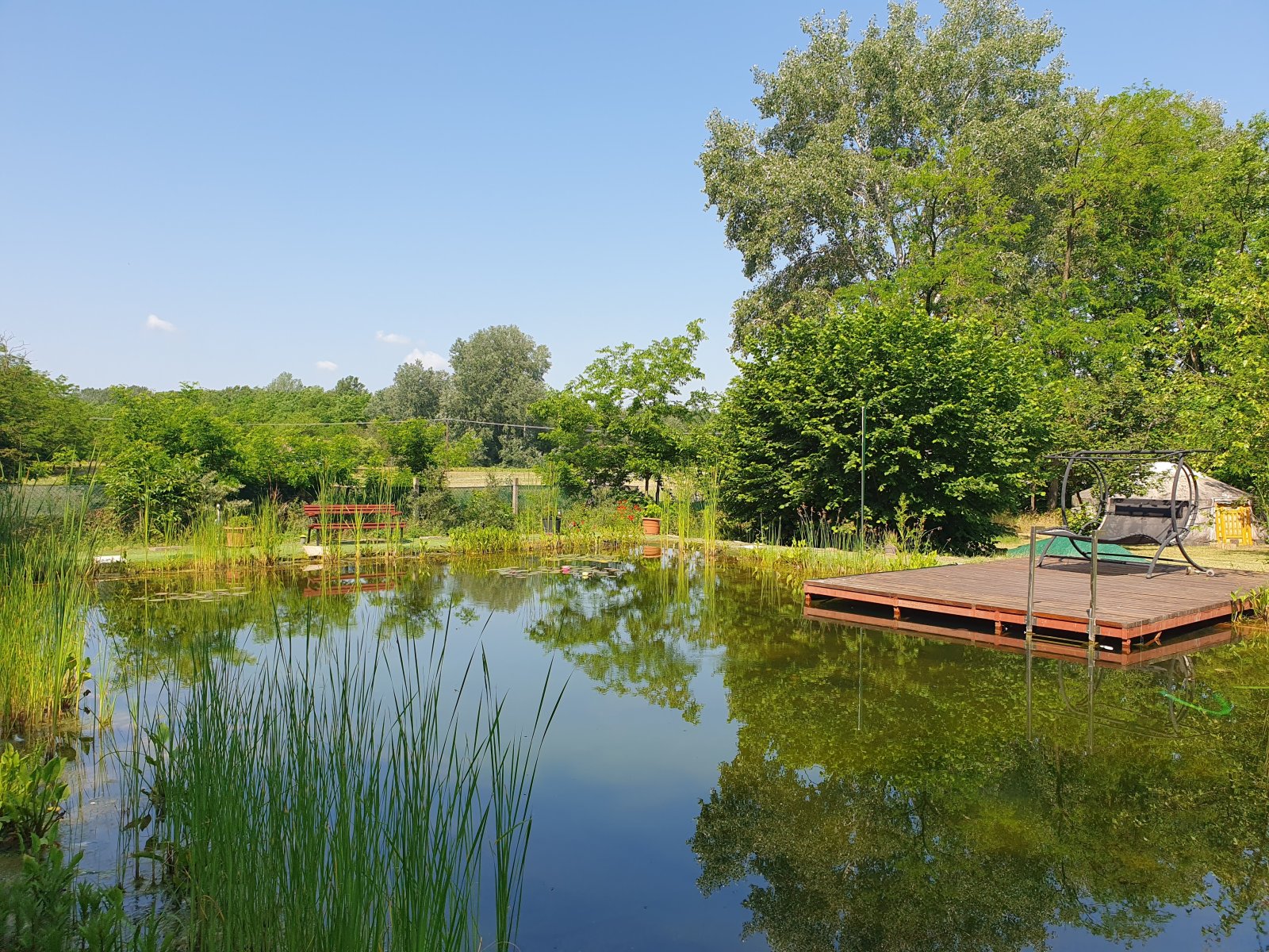 (BAA) Familienhaus mit Teich und großem Grundstück in Ruhelage