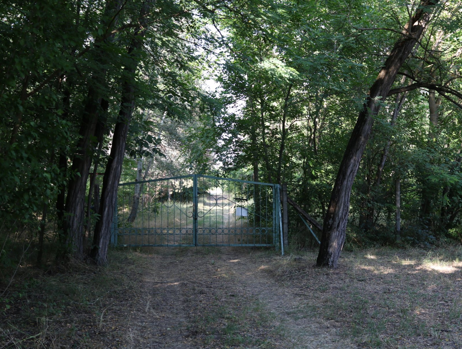 (BAA) Familienhaus mit Teich und großem Grundstück in Ruhelage (CM117-4)