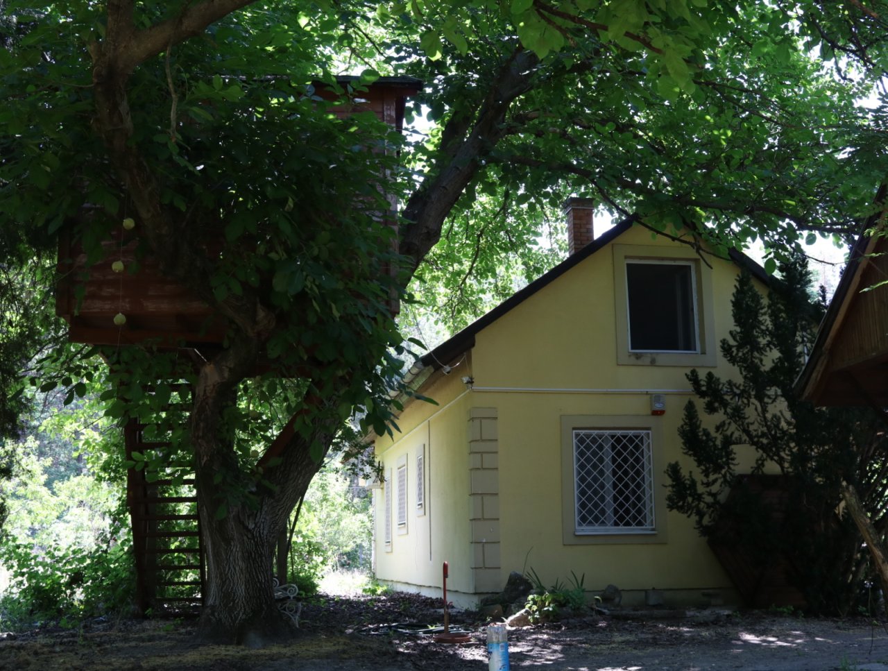 (BAA) Familienhaus mit Teich und großem Grundstück in Ruhelage (CM117-4)