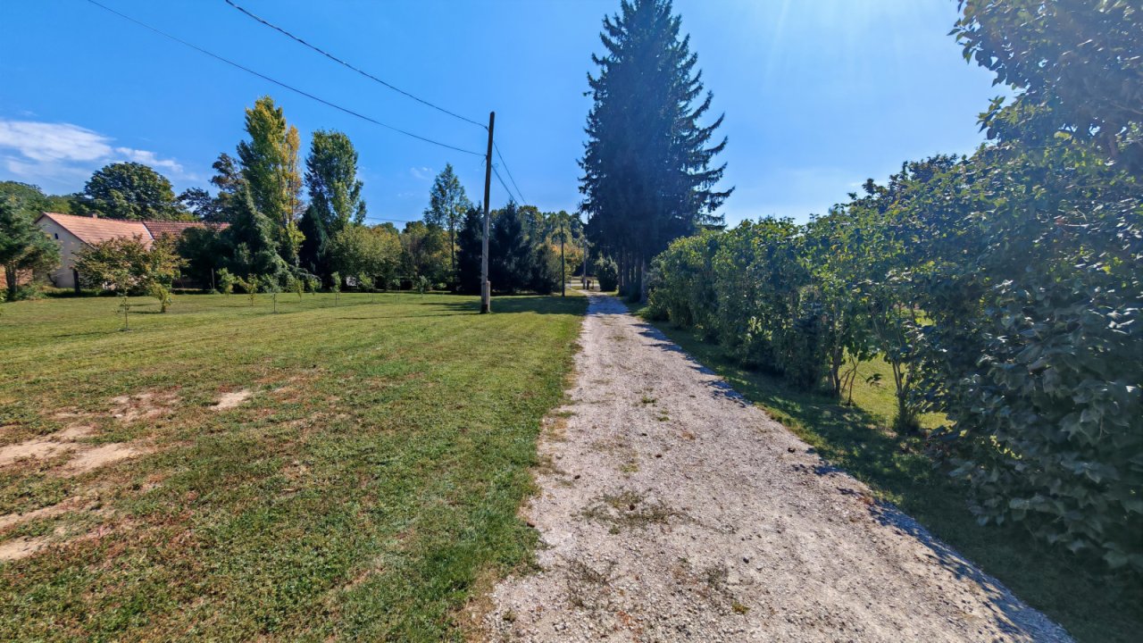 (BAA) Traumanwesen in Ungarn: 180 m² Wohnfläche – ideal für Pferdehaltung und Selbstversorger (AAA) (MW003)