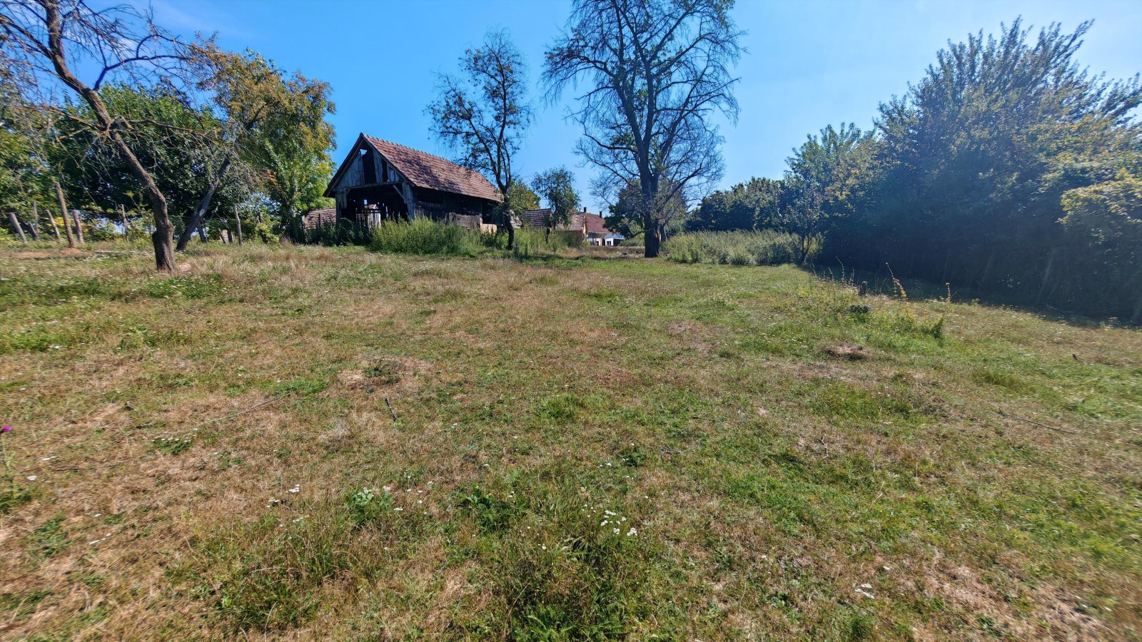 (BAA) Traumanwesen in Ungarn: 180 m² Wohnfläche – ideal für Pferdehaltung und Selbstversorger (AAA) (MW003)