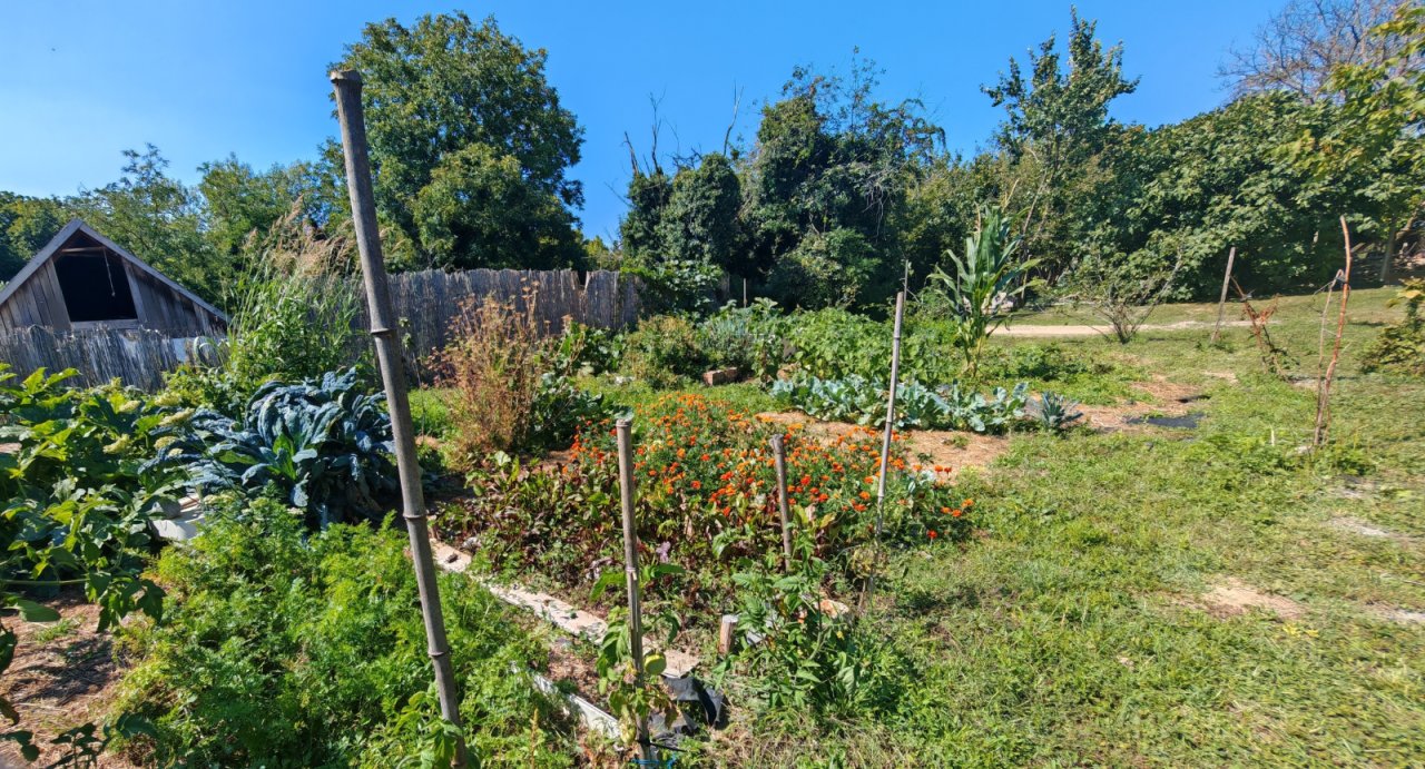 (BAA) Traumanwesen in Ungarn: 180 m² Wohnfläche – ideal für Pferdehaltung und Selbstversorger (AAA) (MW003)