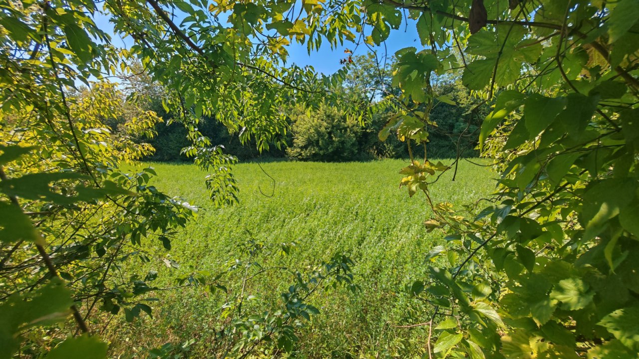 (BAA) Traumanwesen in Ungarn: 180 m² Wohnfläche – ideal für Pferdehaltung und Selbstversorger (AAA) (MW003)