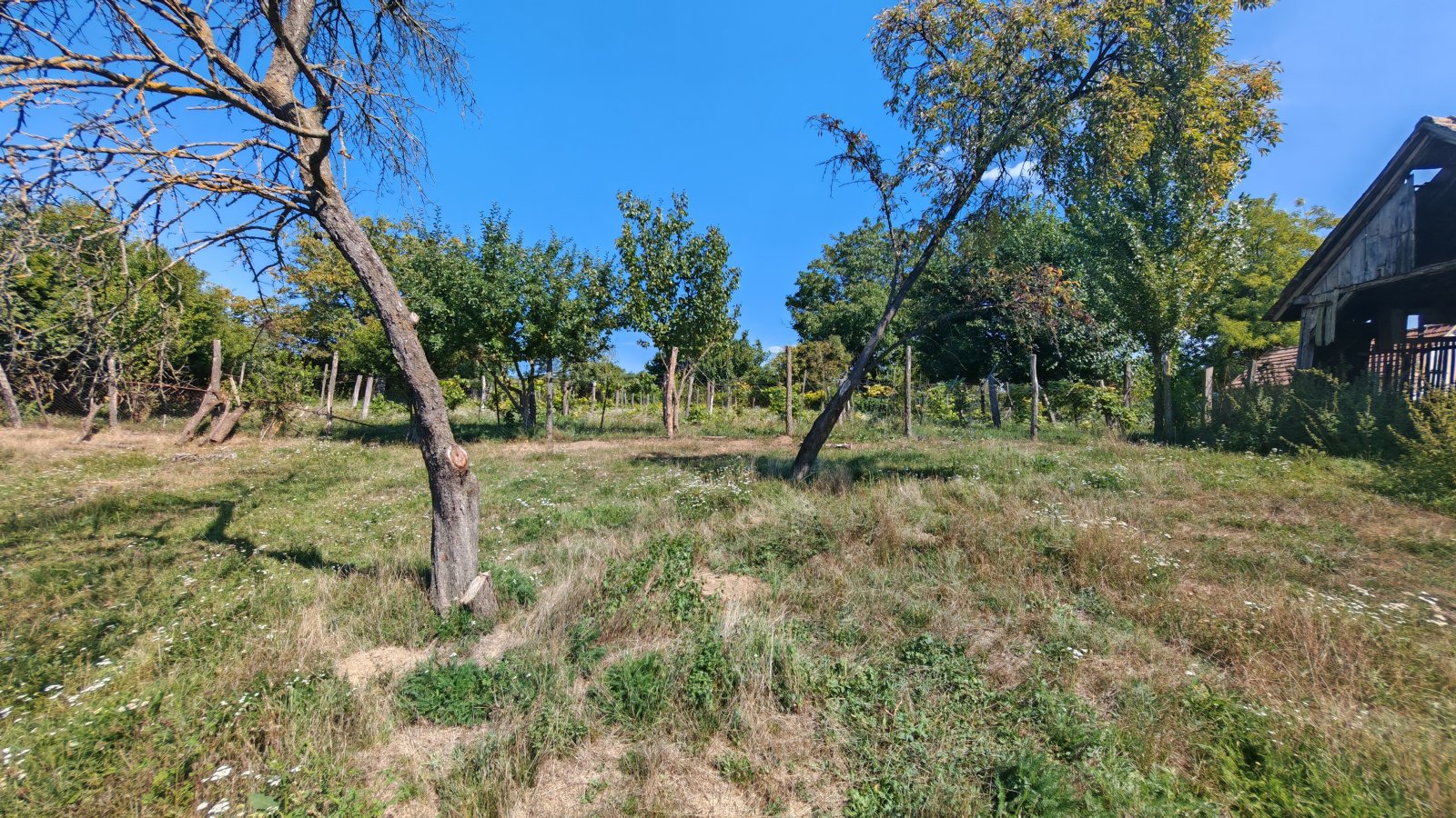 (BAA) Traumanwesen in Ungarn: 180 m² Wohnfläche – ideal für Pferdehaltung und Selbstversorger (AAA) (MW003)